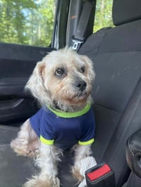 Theodore "Teddy - Photo 1