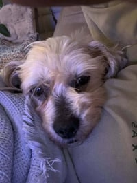 Theodore "Teddy - Photo 2