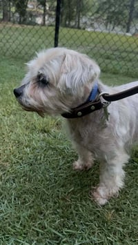 Theodore "Teddy - Photo 3