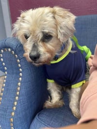 Theodore "Teddy - Photo 4