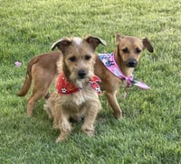 Kevin and Kanny - Photo 2