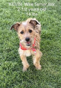 Kevin and Kanny - Photo 3