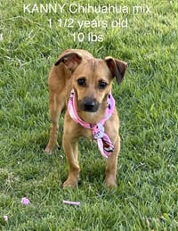 Kevin and Kanny - Photo 4