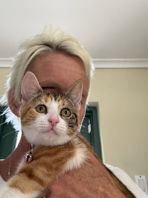 Harriet potter Image