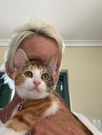 Harriet potter - Photo 1