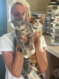 Harriet potter - Photo 3