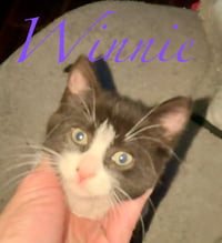 Pumpkin & Winnie - Photo 3