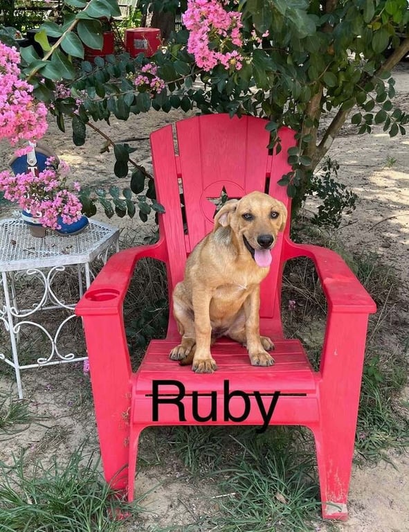 Ruby Image