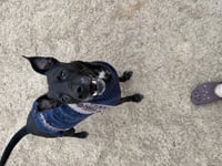 Zeus - Photo 3