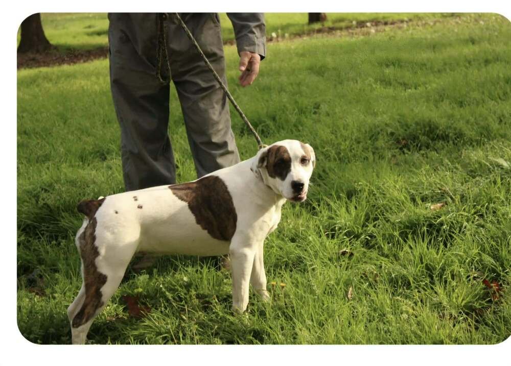 Finley Image