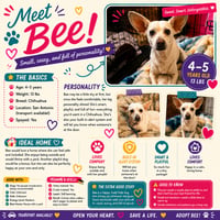 Bee - Photo 1