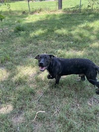 Wally - Photo 4