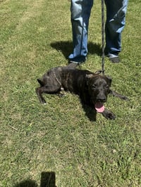 Wally - Photo 2
