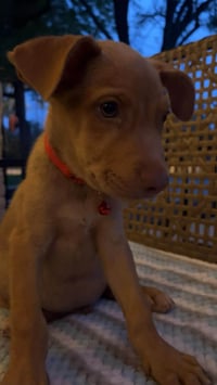 Rusty-M - Photo 4