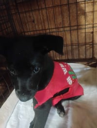 Zena - Photo 5