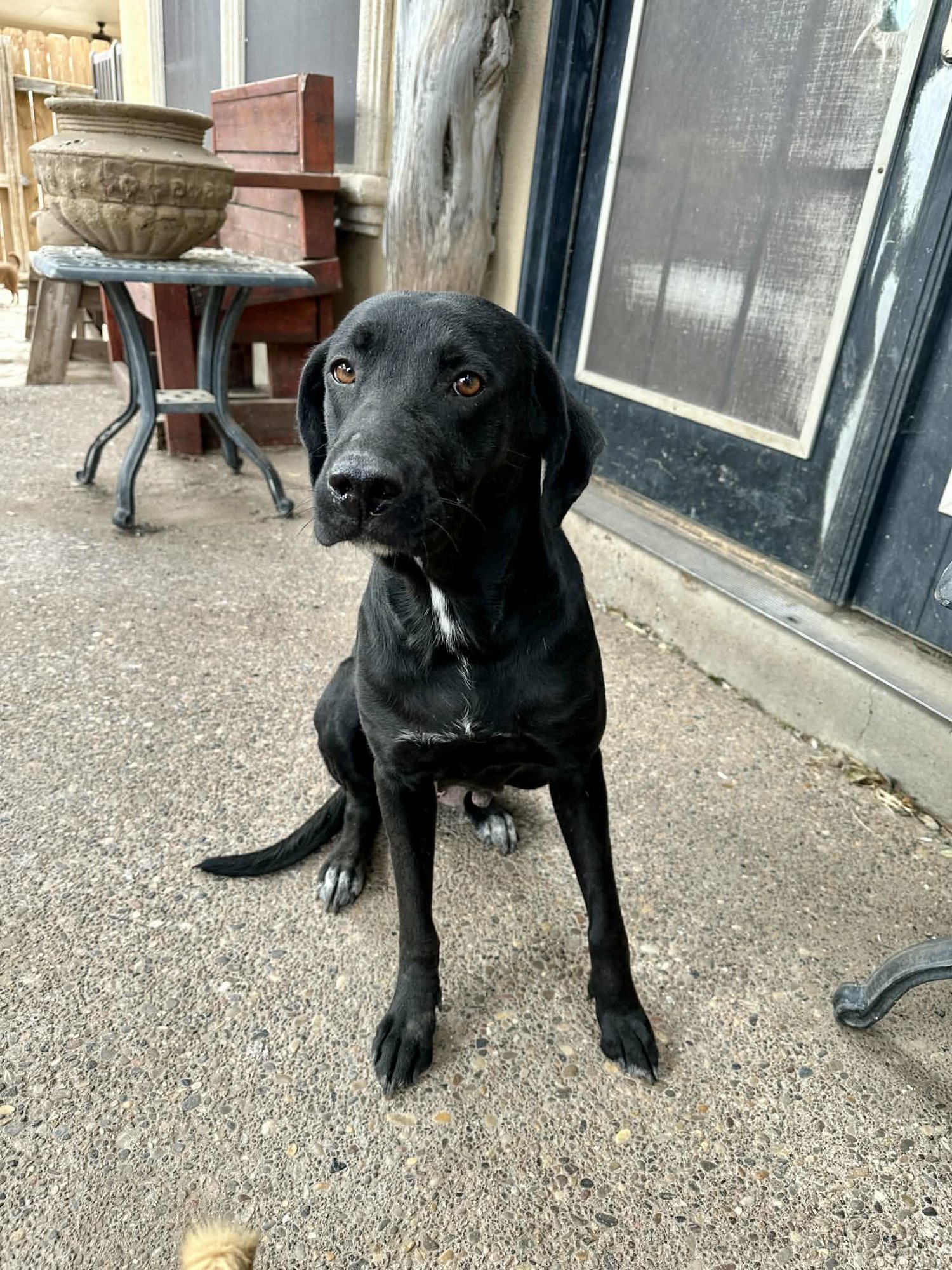MOLLY