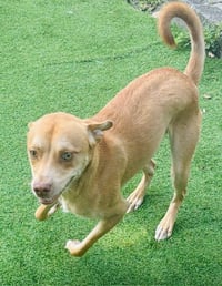 Coco - Photo 4