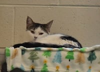 Walter - Photo 3