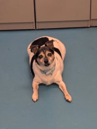 Zeus - Photo 1