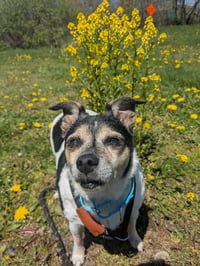 Zeus - Photo 2