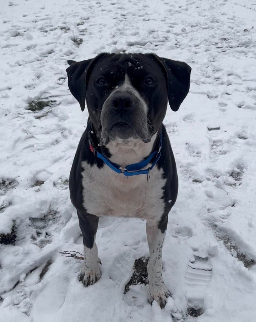 Johnny Cash - Photo 3