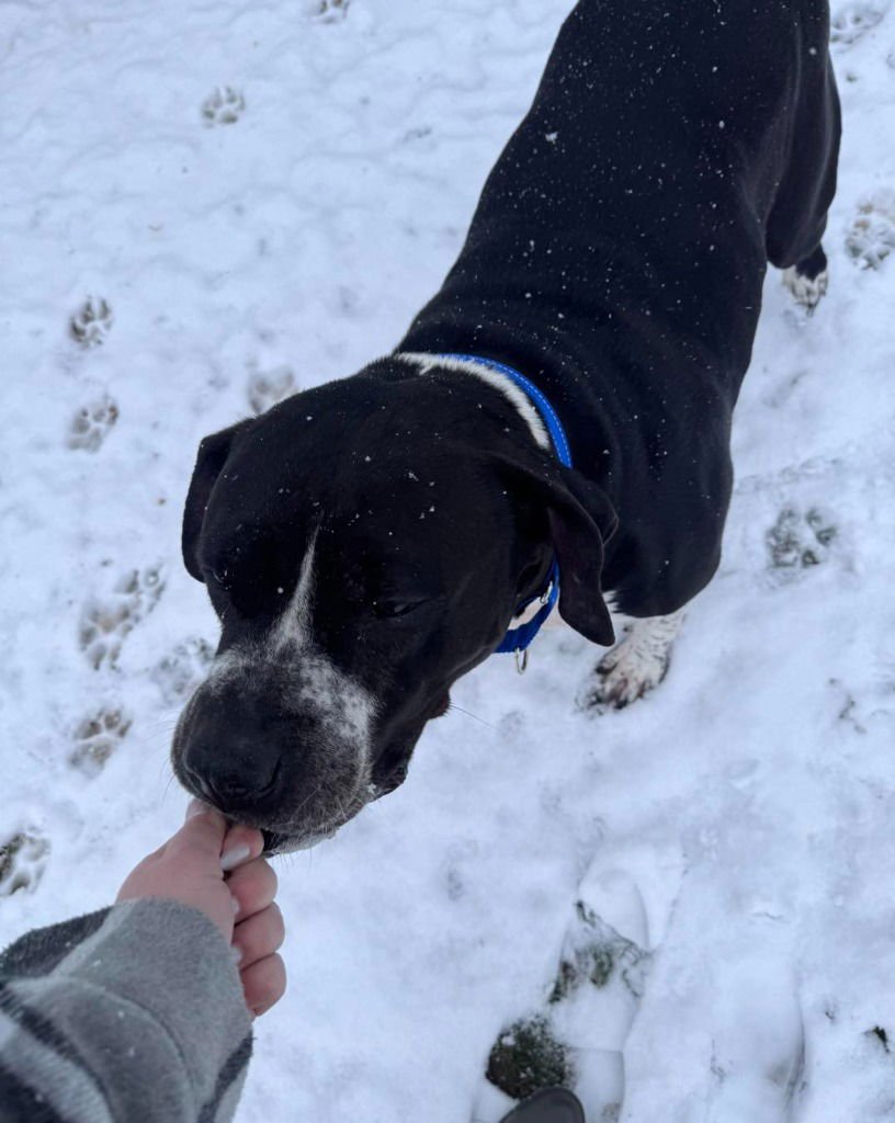 Johnny Cash - Photo 4