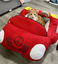 SCOUT - Photo 5