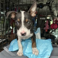 Jax Walter - Photo 3