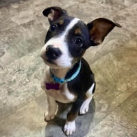 Jax Walter - Photo 1