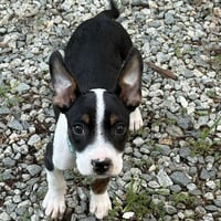 Jax Walter - Photo 2