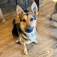 Ellie - Photo 3