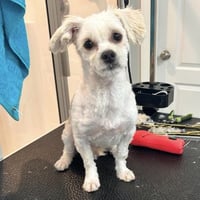 Walter - Photo 3