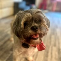 Pebbles - Photo 1