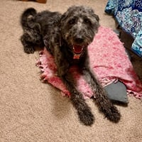 Zeke - Photo 3
