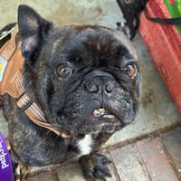Steven - Photo 3