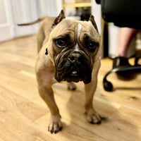 Wally - Photo 1