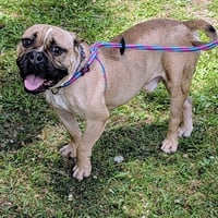 Wally - Photo 2