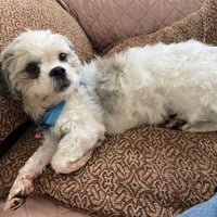 Peggy Anne - Photo 1