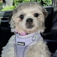 Peggy Anne - Photo 2