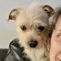 Brady - Photo 3