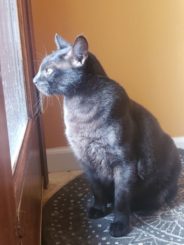 Teddy #Big-and-Tall - Photo 10