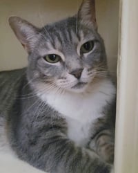 Princes Gigi - Photo 4