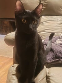 Olivia - Photo 2