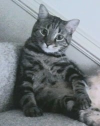 Papi - Photo 3