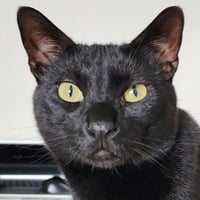 Eddie - Photo 4