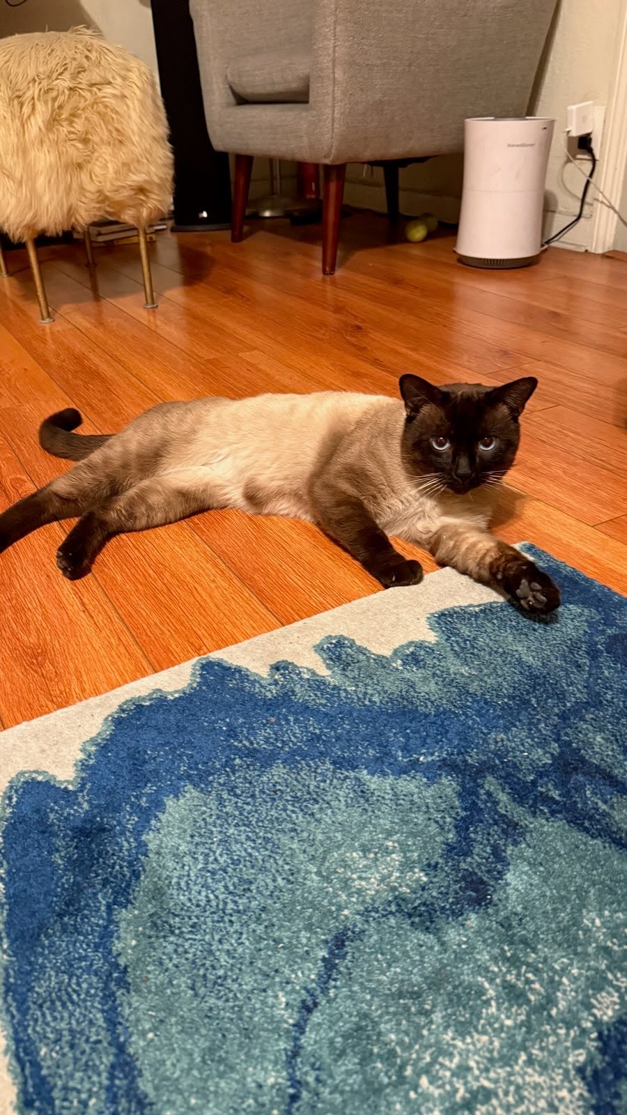 Johnnie Walker - Photo 3