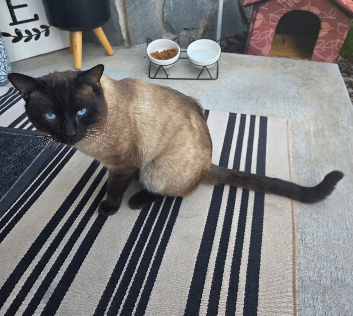 Johnnie Walker - Photo 4