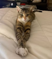 Charlie - Photo 1