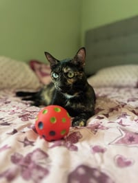 Marley - Photo 9