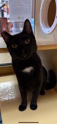 Laverne (C) - Photo 1